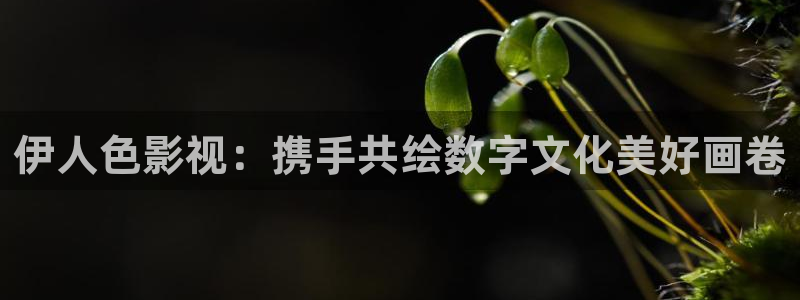 2020年酷客影院：伊人色影视：携手共绘数字文化美好画卷