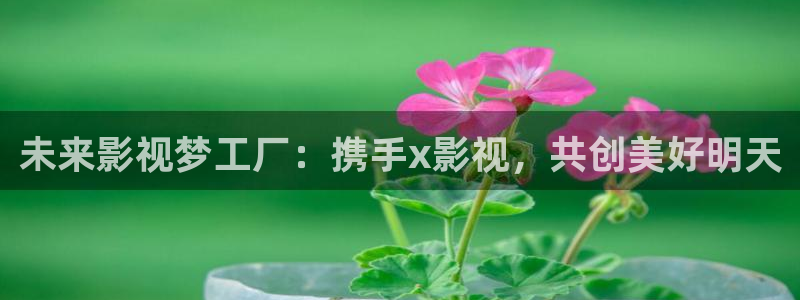 了酷客影院：未来影视梦工厂：携手x影视，共创美好明天
