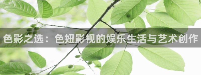 酷客影院在线观看免费版：色影之选：色妞影视的娱乐生活与艺术创作