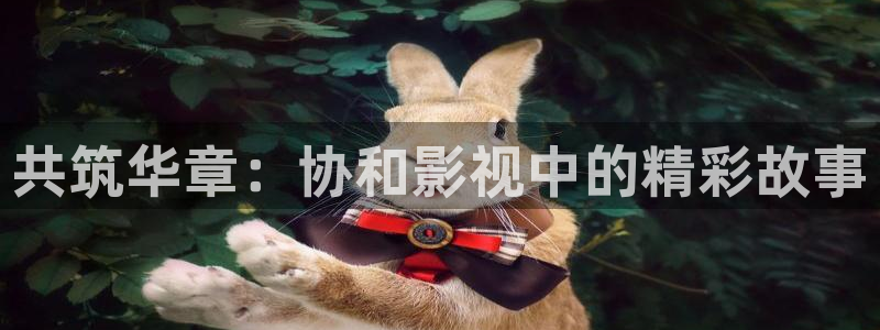 酷客影院入口：共筑华章：协和影视中的精彩故事