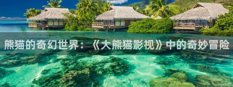 酷客手机在线影院：熊猫的奇幻世界：《大熊猫影视》中的奇妙冒险