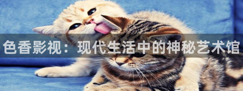手机酷客影院在线：色香影视：现代生活中的神秘艺术馆